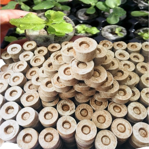Granulés de coco Eco Coco pour le démarrage des semences et la propagation des plantes | Milieu de culture biologique exportation du Vietnam - Product Image 4
