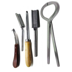 Juego de instrumentos de cirugía general de acero inoxidable, fuente de alimentación Manual, pinzas de probador de cuchillo de pezuña de caballo veterinario de 10 piezas - Product Image 3