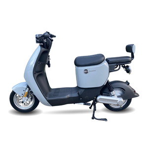 Garow 48V Voltaje Bicicleta eléctrica de dos ruedas para adultos con 3 velocidades 2 asientos 48V Motor central Tipo de sensor inteligente Fabricado en Vietnam - Product Image 3