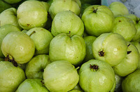 Mekong River Royal Pink Guava Bites Zachte Gedroogde Tropische Fruitselectie 100% Natuurlijk Vietnam