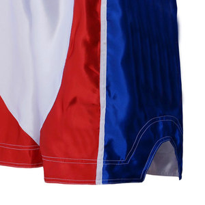 Pantalones Cortos de MMA para Hombre OEM con Logotipo Frontal Personalizable, 100% Poliéster, Duraderos, Transpirables, Ecológicos, de Secado Rápido, Ropa Deportiva de Venta Caliente - Product Image 6
