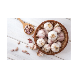 Ajo Blanco Fresco Orgánico de la Mejor Calidad, Suministro Directo del Fabricante - Product Image 1