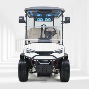 Carritos de golf de lujo modernos de última generación, 2 a 8 asientos para transporte VIP, motor de alta potencia, asientos de lujo, batería extendida - Product Image 2