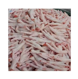 ตีนไก่ฮาลาล / ตีนไก่แช่แข็ง ราคาขายส่ง - Product Image 6