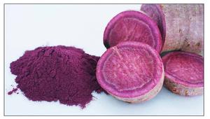 Exportación de almidón de batata con muchos colores naturales de 99 Gold Data Vietnam/Productos de alta calidad para alimentos - Product Image 2