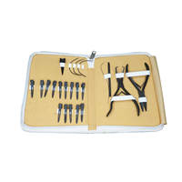 Ensemble de pinces d'extension de cheveux professionnelles Kit d'outils en acier inoxydable avec clips pour usage commercial