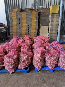 Việt Nam cây trồng mới không hạt chanh chanh bưởi tươi citrus trái cây với Giao hàng nhanh gừng bao gồm trong số lượng lớn số lượng - Product Image 5