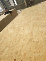 Panneaux muraux en bois OSB de bonne qualité, structure 3 couches, colle MDI, 9mm-18mm, pour usage intérieur, vente en gros