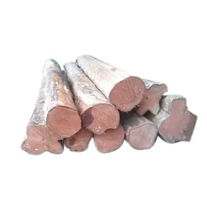 Bạch Đàn Gỗ Các Bản Ghi Đa Dạng Các Loại Bao Gồm Gỗ Sồi Thông Gỗ Tếch Mô Hình Tròn Bạch Dương Sồi - Product Image 2