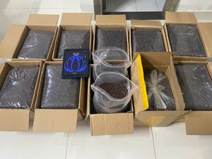 เมล็ดมะละกอแห้งคุณภาพสูงจากฟาร์มบัวสีฟ้าเวียดนาม - Product Image 5