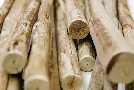 High Quality Eucalyptus <b>Logs</b> for Timber, Charcoal, and Pulp - Fresh Cut, Export Grade, Custom Sizes Available - Product Image 4