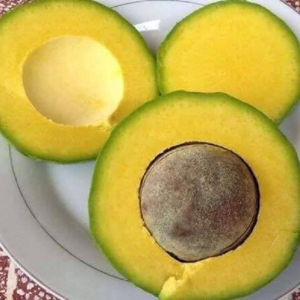 อะโวคาโดผลไม้สด Hass อะโวคาโดสำหรับขายกล่อง peru สไตล์เขตร้อนสีเขียวเข้ม - Product Image 3