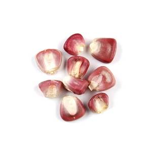 Nueva cosecha de maíz rojo orgánico natural dulce a la venta - Product Image 1