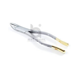 Fórceps de extracción dental anterior Instrumentos quirúrgicos Herramientas dentales de acero inoxidable Fórceps de extracción dental de acero inoxidable - Product Image 1