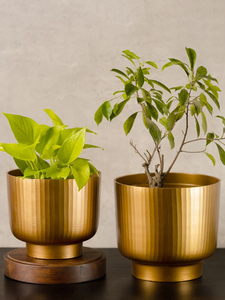 Maceta de flores de metal de alta calidad para la decoración de la boda del jardín del hogar de la Oficina en precio bajo - Product Image 5