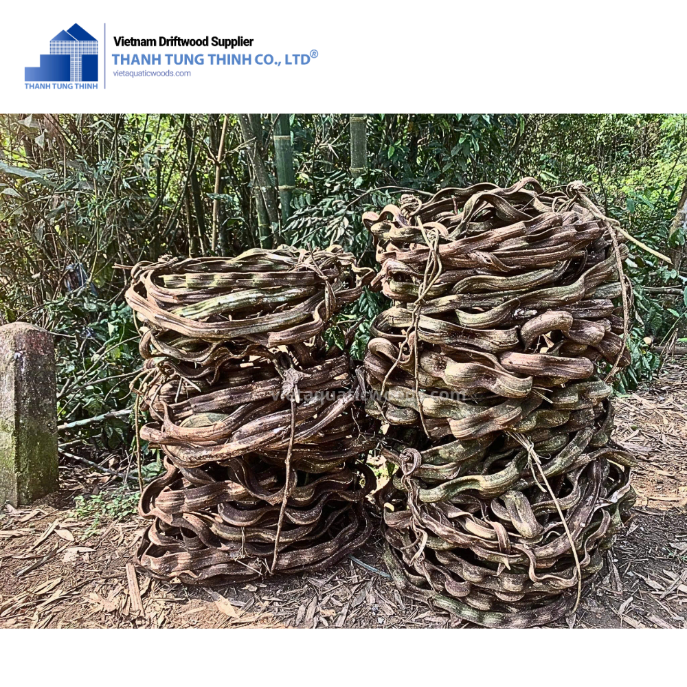 ธรรมชาติ