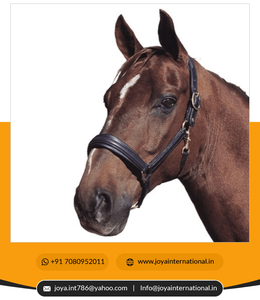 Licou en cuir de cheval en nylon personnalisé de haute qualité Origine indienne Meilleur prix Vente en gros Éphémère - Product Image 5