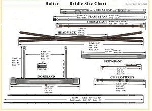 Para Hunter Bridle Set Headstall y Mecate de cuero anatómico de calidad superior para carreras de caballos y equitación - Product Image 3