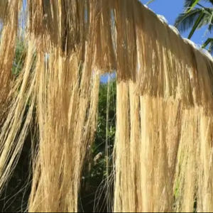 ผลิตภัณฑ์เส้นใยกล้วยจากเวียดนาม-ทางเลือกที่ดีที่สุดสำหรับคุณ - Product Image 1