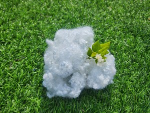 หมอนไส้หลัก15D PSF hcns คุณภาพระดับพรีเมี่ยมของเวียดนาม x 32/51/64มม. หมอนไส้หลัก100% โพลีเอสเตอร์/oeko/grs ได้รับการรับรอง Nam VANG Ha Nam - Product Image 4