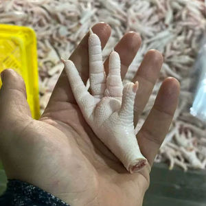 Patas de Pollo Congeladas Halal/ Alas de Pollo/ Pollo Entero Congelado - Product Image 1