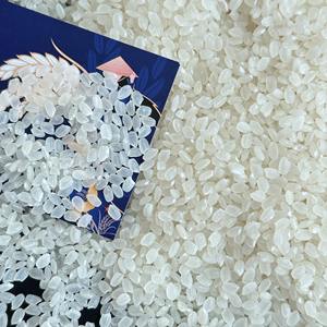 Importación de arroz de Bahrein VIETNAM | Arroz fresco de Asia Japonica jazmín arroz blanco grano largo 5% roto 2024 cosecha | OO84825431311 - Product Image 1