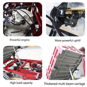 Triciclo de carga personalizable, triciclo de gasolina, carga para suministro de Rancho <span class=keywords><strong>y</strong></span> entrega de productos, motocicleta de 3 ruedas - Product Image 3