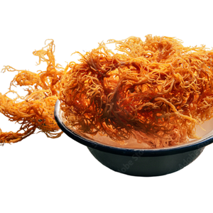 Descuento por tiempo limitado: ahorra el 20% en musgo natural irlandés-musgo de carragenina - Product Image 6