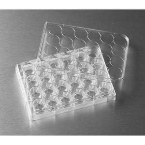 Plaque Corning Costar 24 puits fond plat en plastique jetable traité TC avec couvercle stérile OEM pris en charge pour les applications médicales - Product Image 1