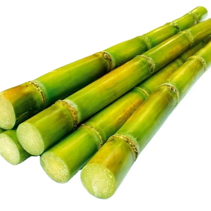 อ้อยแช่แข็งสำหรับเครื่องดื่มและของหวาน | 100% อ้อยธรรมชาติขายส่งจากเวียดนาม - Product Image 1