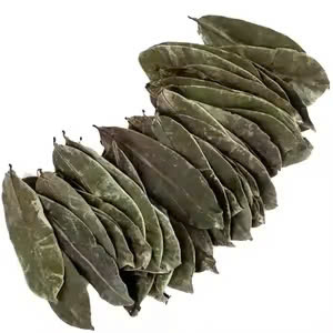 FEUILLES DE SOURSOP TERREUSES ET SAVOUREUSES/REMÈDE AUX HERBES/QUALITÉ ECO-CONSCIOUS/FABRIQUÉ AU VIETNAM - Product Image 2