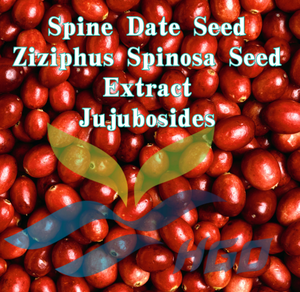 Suministro directo de fábrica HGO de semilla de fecha de espina natural pura/extracto de semilla de Ziziphus Spinosa Jujubosides 0,1 (extracto estandarizado) - Product Image 2
