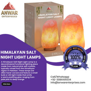 Vente chaude Lampe au sel de l'Himalaya Meilleur matériau Sculpté Technique Real Touch Caractéristique Prix de gros par ANwar - Product Image 1