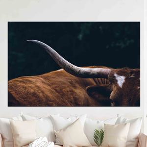 Impression sur toile Longhorn : Art mural style ferme - Design imprimé, décoration élégante, toile encollée - Product Image 1