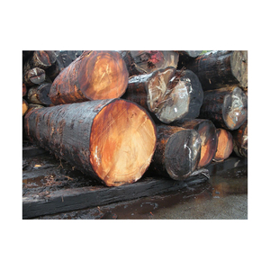 Grumes de sapin de Douglas fournies en grande quantité pour les revêtements de sol et les applications décoratives - Product Image 6