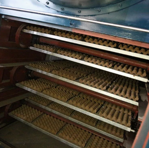 ข้อเสนอที่ดีที่สุด อุปกรณ์ทำถาดไข่สำหรับอุตสาหกรรม DIY พร้อมบริการปรับแต่งแบบ OEM/ODM/OBM รับประกัน 3 ปี ผลิตในประเทศอังกฤษ - Product Image 1