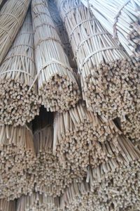 เสาหวายมาตรฐานส่งออกสำหรับขาย/ หวายธรรมชาติแห้งตรง/ เสาไม้ไผ่ - CARYLN - Product Image 4