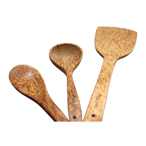 Spatule en noix de coco de haute qualité, ustensile de cuisine durable en noix de coco, prix compétitif, cuillère en bois de noix de coco, spatule pour l'exportation 99GD - Product Image 1