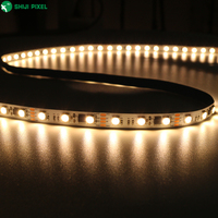 Bande LED Shiji programmable RGBW Pixel 12V 24V SPI UCS7604 double ligne de données 65536 niveau de gris 72Leds 60Leds bande de LED 5050 Pixel