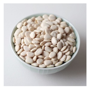 Wholesale Supplier Of Bulk Fresh Stock of Large Lima <b>Beans</b> - Product Image 6