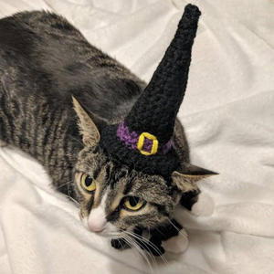 Chapeaux de sorcière en crochet faits main pour animaux de compagnie - Vente en gros et très demandés - Idéal pour Halloween, costumes de fêtes, accessoires photo et usage quotidien pour chats et chiens - Product Image 3