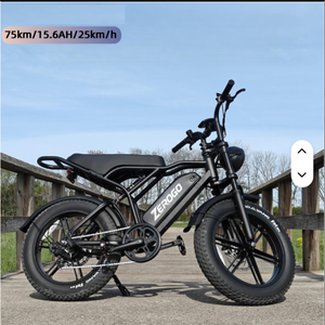 Bicicleta Eléctrica Eu V8 de 250w con Llantas Anchas, Bicicleta Eléctrica K7 con Doble Asiento y Frenos Hidráulicos - Product Image 1