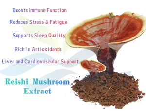 Hgo Nhà máy cung cấp trực tiếp của tinh khiết tự nhiên linh chi Nấm Mushroom <span class=keywords><strong>extract</strong></span> (thực phẩm sức khỏe lớp) Đặc điểm kỹ thuật 10:1 (tỷ lệ chiết xuất) - Product Image 5