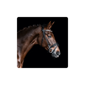 Western Leather Horse Tck Equipment Bridle Brown Dressage Bridle Fournisseur de l'Inde pliée - Product Image 1