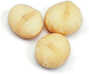 Noix de macadamia grillées biologiques de haute qualité Noix séchées crues et transformées saines Prix compétitifs pour les collations - Product Image 3