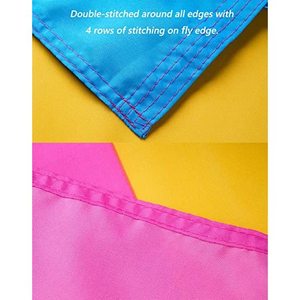 Drapeau de la fierté pansexuelle USA TOP FLAGSINC, lot de 10, 3x5 pieds - Drapeaux LGBTQ omnisexe aux couleurs vives, résistants à la décoloration, double couture - Product Image 2