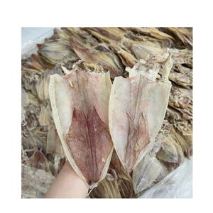 TRENDING NOW Calamari: La sensación del marisco para creaciones culinarias innovadoras y una textura firme para técnicas de asado. - Product Image 6