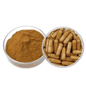 Cápsulas de Tongkat Ali 100% Puro OEM/ODM 500mg para Apoyar la Fuerza y el Equilibrio Hormonal, Cápsulas de Longjack para la Salud de Hombres y Mujeres - Product Image 4