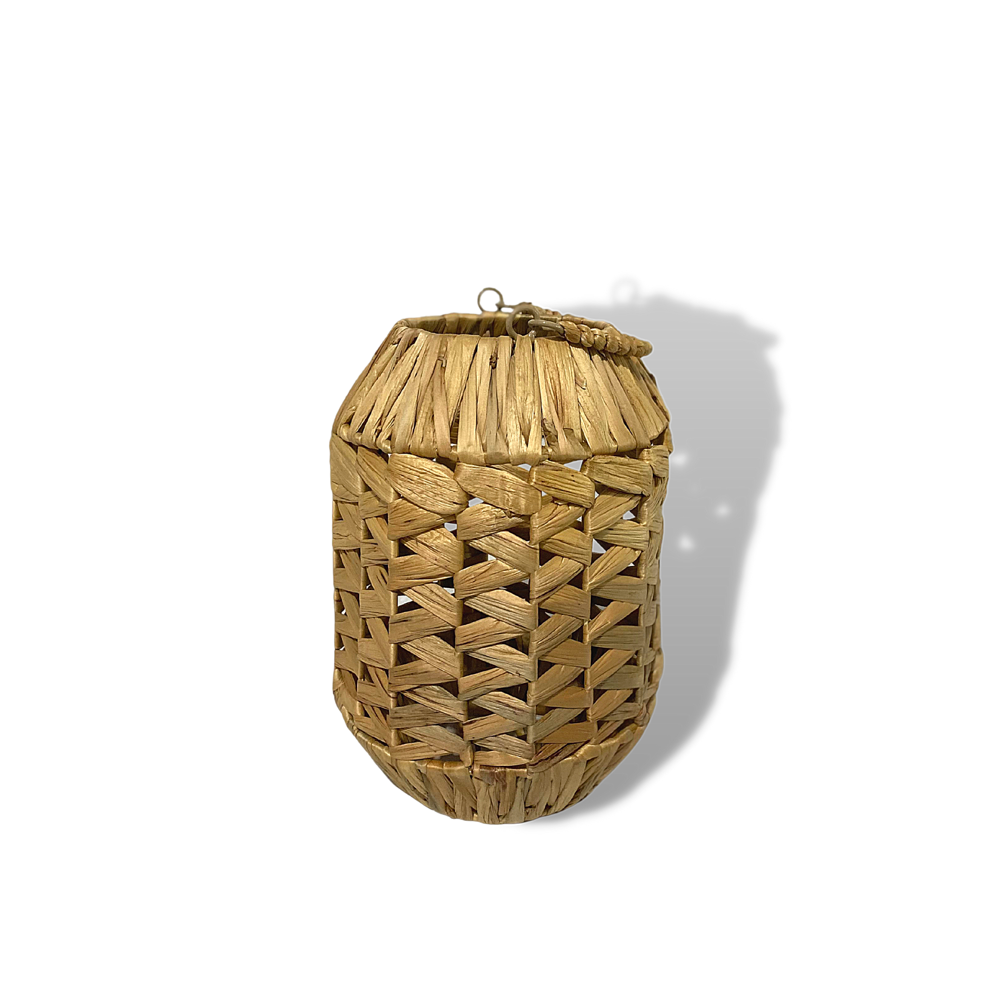 ธรรมชาติ