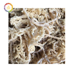 Venta al por mayor de musgo marino irlandés seco procedente del Caribe a granel con calidad fuerte y precio asequible perfecto para el comercio internacional - Product Image 6